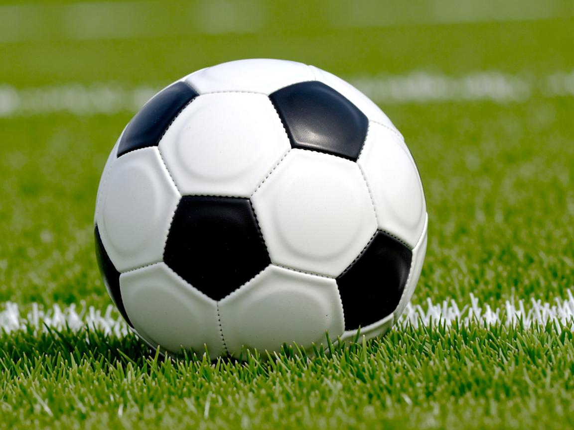 开云体育网址-CBA联赛深化数据分析助力教练战术决策,cba各项数据 第2张